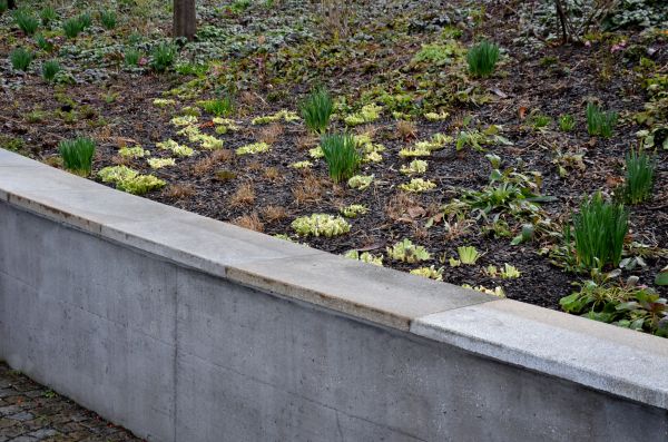 Concrete Wall Construction in Manteca