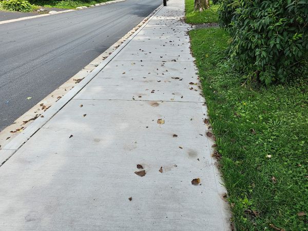 Sidewalk Renovation in Manteca