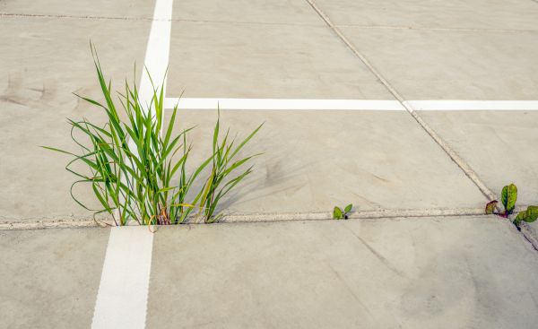 Concrete Parking Installation in Manteca