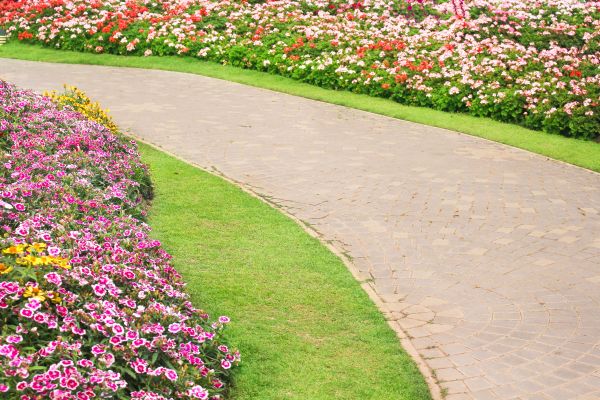 Concrete Walkway Service in Manteca