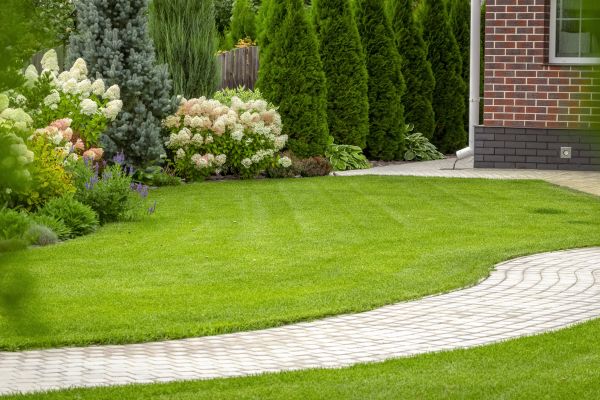 Landscape Walkway Installation in Manteca